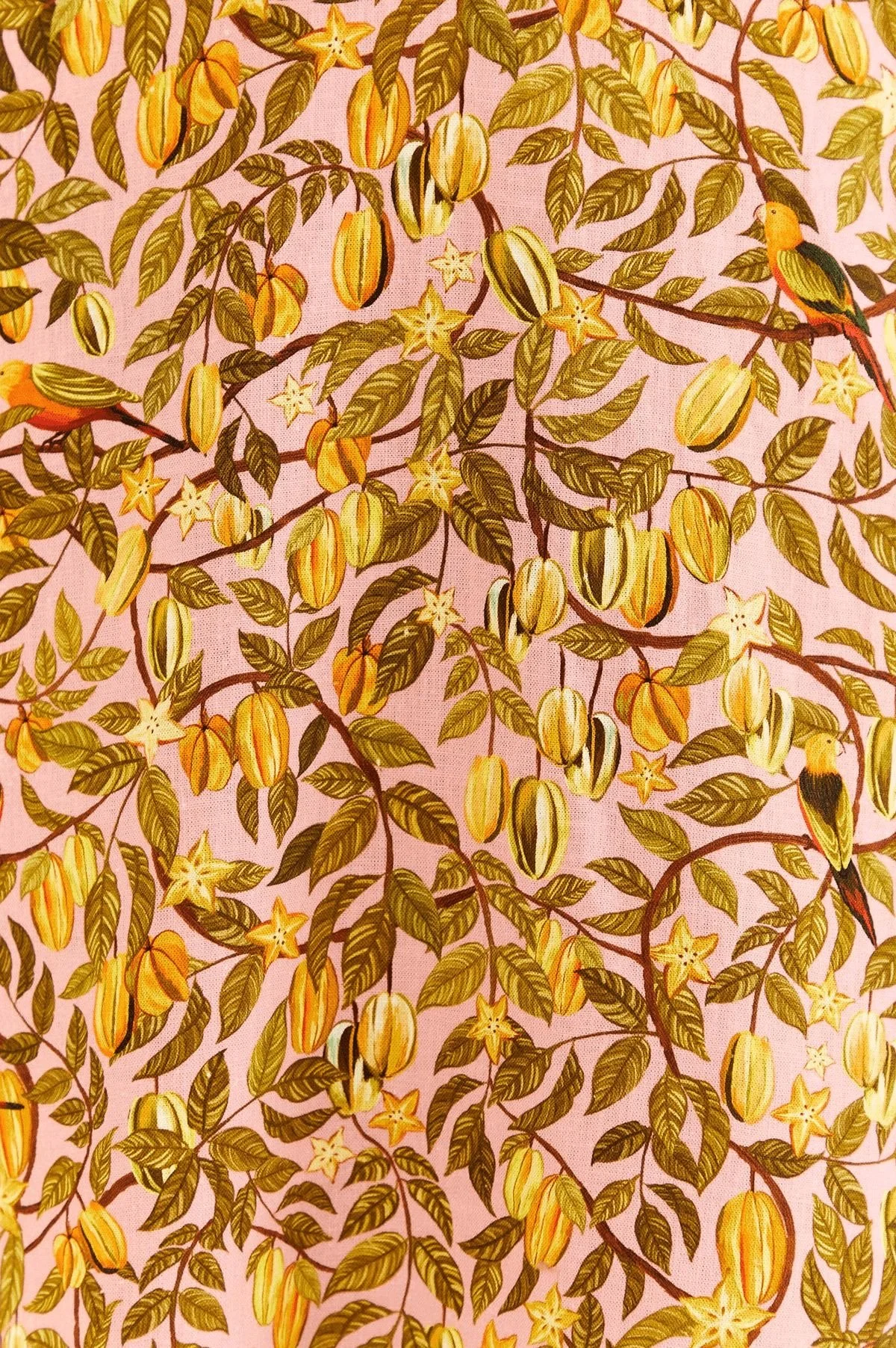 Hand-painted starfruit and songbird botanical textile in pink and gold